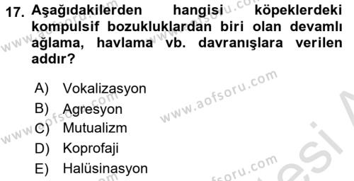 Hayvan Davranışları ve Refahı Dersi 2021 - 2022 Yılı (Vize) Ara Sınavı 17. Soru