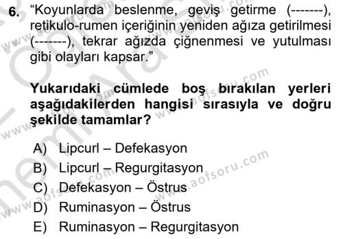 Hayvan Davranışları ve Refahı Dersi 2021 - 2022 Yılı (Vize) Ara Sınavı 6. Soru