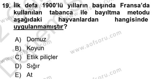 Hayvan Davranışları ve Refahı Dersi 2021 - 2022 Yılı (Final) Dönem Sonu Sınavı 19. Soru