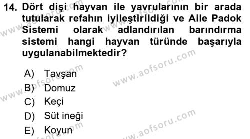 Hayvan Davranışları ve Refahı Dersi 2021 - 2022 Yılı Yaz Okulu Sınavı 14. Soru