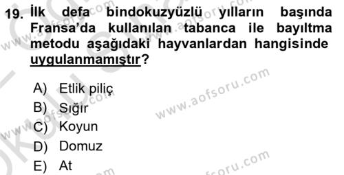 Hayvan Davranışları ve Refahı Dersi 2021 - 2022 Yılı Yaz Okulu Sınavı 19. Soru