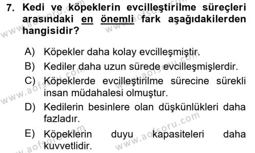 Hayvan Davranışları ve Refahı Dersi 2021 - 2022 Yılı Yaz Okulu Sınavı 7. Soru