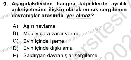 Hayvan Davranışları ve Refahı Dersi 2021 - 2022 Yılı Yaz Okulu Sınavı 9. Soru