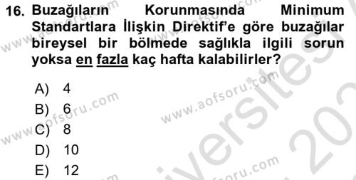 Hayvan Davranışları ve Refahı Dersi 2022 - 2023 Yılı Yaz Okulu Sınavı 16. Soru