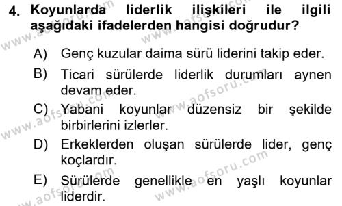 Hayvan Davranışları ve Refahı Dersi 2022 - 2023 Yılı Yaz Okulu Sınavı 4. Soru