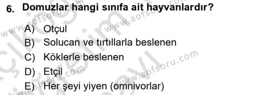 Hayvan Davranışları ve Refahı Dersi 2022 - 2023 Yılı Yaz Okulu Sınavı 6. Soru