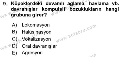 Hayvan Davranışları ve Refahı Dersi 2022 - 2023 Yılı Yaz Okulu Sınavı 9. Soru