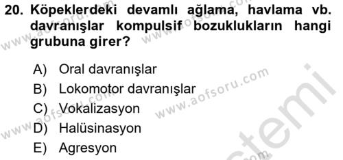 Hayvan Davranışları ve Refahı Dersi 2023 - 2024 Yılı (Vize) Ara Sınavı 20. Soru