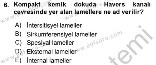 Temel Veteriner Histoloji ve Embriyoloji Dersi 2018 - 2019 Yılı Yaz Okulu Sınavı 6. Soru