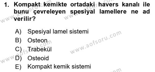 Temel Veteriner Histoloji ve Embriyoloji Dersi 2019 - 2020 Yılı (Final) Dönem Sonu Sınavı 1. Soru