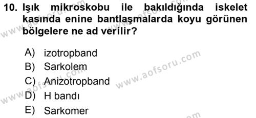 Temel Veteriner Histoloji ve Embriyoloji Dersi 2019 - 2020 Yılı (Final) Dönem Sonu Sınavı 10. Soru