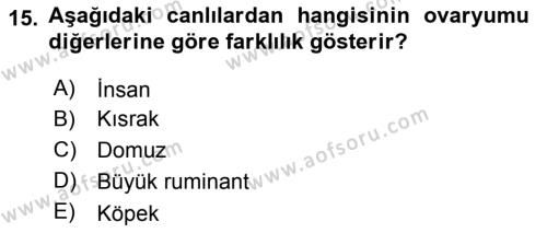 Temel Veteriner Histoloji ve Embriyoloji Dersi 2019 - 2020 Yılı (Final) Dönem Sonu Sınavı 15. Soru