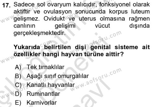 Temel Veteriner Histoloji ve Embriyoloji Dersi 2019 - 2020 Yılı (Final) Dönem Sonu Sınavı 17. Soru