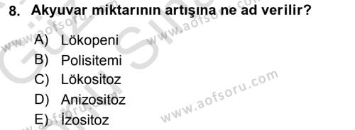 Temel Veteriner Histoloji ve Embriyoloji Dersi 2019 - 2020 Yılı (Final) Dönem Sonu Sınavı 8. Soru