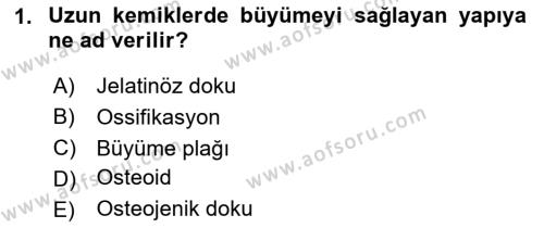 Temel Veteriner Histoloji ve Embriyoloji Dersi 2020 - 2021 Yılı Yaz Okulu Sınavı 1. Soru