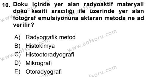 Temel Veteriner Histoloji ve Embriyoloji Dersi 2020 - 2021 Yılı Yaz Okulu Sınavı 10. Soru