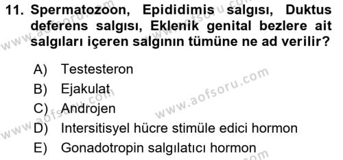 Temel Veteriner Histoloji ve Embriyoloji Dersi 2020 - 2021 Yılı Yaz Okulu Sınavı 11. Soru