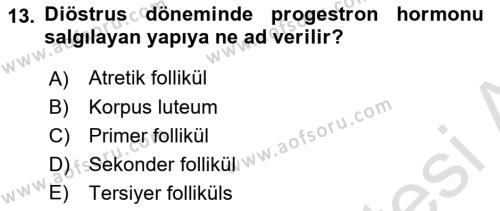 Temel Veteriner Histoloji ve Embriyoloji Dersi 2020 - 2021 Yılı Yaz Okulu Sınavı 13. Soru