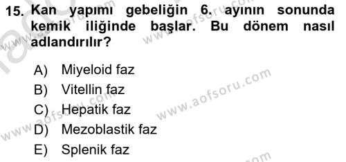 Temel Veteriner Histoloji ve Embriyoloji Dersi 2020 - 2021 Yılı Yaz Okulu Sınavı 15. Soru