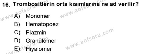 Temel Veteriner Histoloji ve Embriyoloji Dersi 2020 - 2021 Yılı Yaz Okulu Sınavı 16. Soru