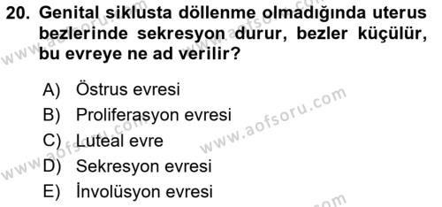 Temel Veteriner Histoloji ve Embriyoloji Dersi 2020 - 2021 Yılı Yaz Okulu Sınavı 20. Soru