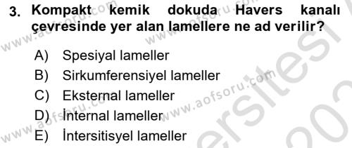 Temel Veteriner Histoloji ve Embriyoloji Dersi 2020 - 2021 Yılı Yaz Okulu Sınavı 3. Soru