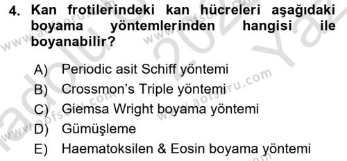 Temel Veteriner Histoloji ve Embriyoloji Dersi 2020 - 2021 Yılı Yaz Okulu Sınavı 4. Soru