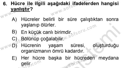 Temel Veteriner Histoloji ve Embriyoloji Dersi 2020 - 2021 Yılı Yaz Okulu Sınavı 6. Soru