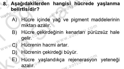 Temel Veteriner Histoloji ve Embriyoloji Dersi 2020 - 2021 Yılı Yaz Okulu Sınavı 8. Soru