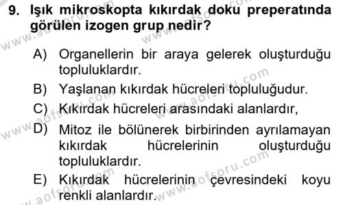 Temel Veteriner Histoloji ve Embriyoloji Dersi 2020 - 2021 Yılı Yaz Okulu Sınavı 9. Soru