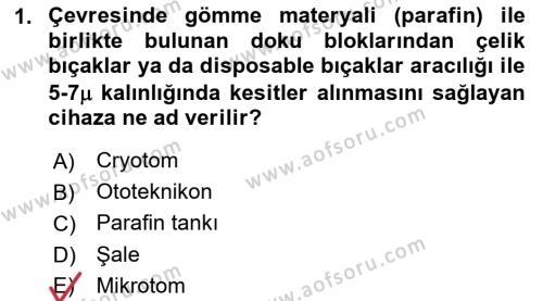 Temel Veteriner Histoloji ve Embriyoloji Dersi 2021 - 2022 Yılı (Vize) Ara Sınavı 1. Soru