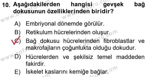 Temel Veteriner Histoloji ve Embriyoloji Dersi 2021 - 2022 Yılı (Vize) Ara Sınavı 10. Soru