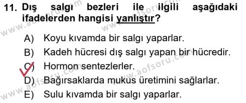 Temel Veteriner Histoloji ve Embriyoloji Dersi 2021 - 2022 Yılı (Vize) Ara Sınavı 11. Soru