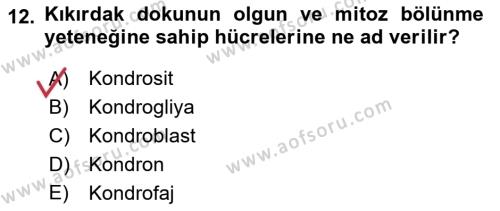 Temel Veteriner Histoloji ve Embriyoloji Dersi 2021 - 2022 Yılı (Vize) Ara Sınavı 12. Soru