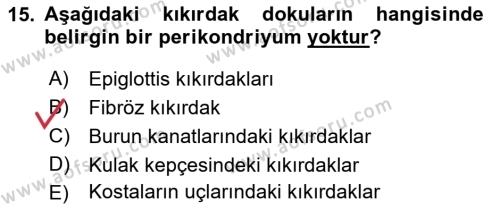 Temel Veteriner Histoloji ve Embriyoloji Dersi 2021 - 2022 Yılı (Vize) Ara Sınavı 15. Soru