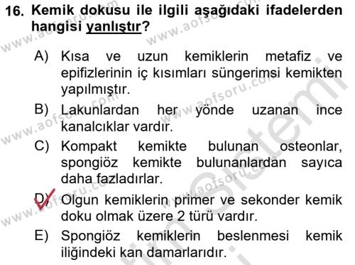 Temel Veteriner Histoloji ve Embriyoloji Dersi 2021 - 2022 Yılı (Vize) Ara Sınavı 16. Soru