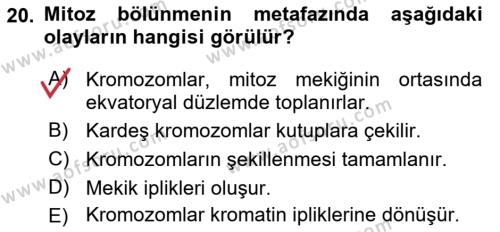 Temel Veteriner Histoloji ve Embriyoloji Dersi 2021 - 2022 Yılı (Vize) Ara Sınavı 20. Soru