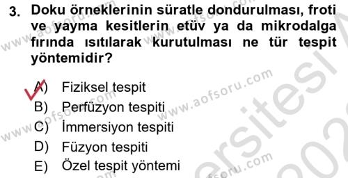 Temel Veteriner Histoloji ve Embriyoloji Dersi 2021 - 2022 Yılı (Vize) Ara Sınavı 3. Soru