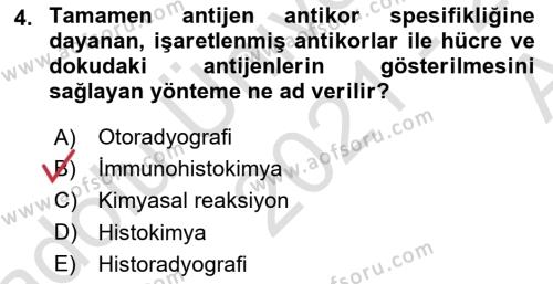 Temel Veteriner Histoloji ve Embriyoloji Dersi 2021 - 2022 Yılı (Vize) Ara Sınavı 4. Soru