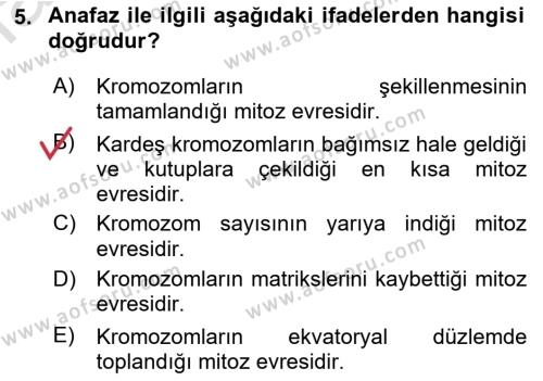 Temel Veteriner Histoloji ve Embriyoloji Dersi 2021 - 2022 Yılı (Vize) Ara Sınavı 5. Soru