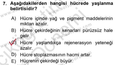 Temel Veteriner Histoloji ve Embriyoloji Dersi 2021 - 2022 Yılı (Vize) Ara Sınavı 7. Soru