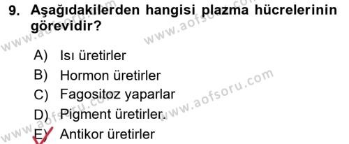 Temel Veteriner Histoloji ve Embriyoloji Dersi 2021 - 2022 Yılı (Vize) Ara Sınavı 9. Soru