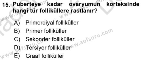 Temel Veteriner Histoloji ve Embriyoloji Dersi 2021 - 2022 Yılı (Final) Dönem Sonu Sınavı 15. Soru