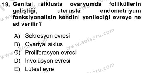 Temel Veteriner Histoloji ve Embriyoloji Dersi 2021 - 2022 Yılı (Final) Dönem Sonu Sınavı 19. Soru