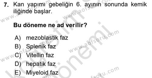 Temel Veteriner Histoloji ve Embriyoloji Dersi 2021 - 2022 Yılı (Final) Dönem Sonu Sınavı 7. Soru