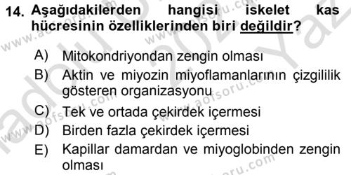 Temel Veteriner Histoloji ve Embriyoloji Dersi 2021 - 2022 Yılı Yaz Okulu Sınavı 14. Soru