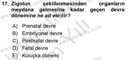 Temel Veteriner Histoloji ve Embriyoloji Dersi 2021 - 2022 Yılı Yaz Okulu Sınavı 17. Soru