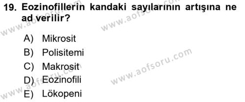 Temel Veteriner Histoloji ve Embriyoloji Dersi 2021 - 2022 Yılı Yaz Okulu Sınavı 19. Soru