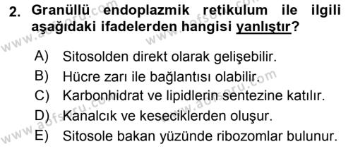 Temel Veteriner Histoloji ve Embriyoloji Dersi 2021 - 2022 Yılı Yaz Okulu Sınavı 2. Soru