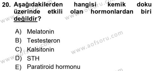 Temel Veteriner Histoloji ve Embriyoloji Dersi 2021 - 2022 Yılı Yaz Okulu Sınavı 20. Soru